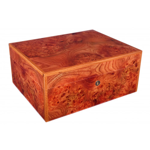 Хьюмидор Gentili Olmo на 50 сигар(шт.)