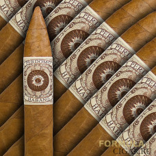 Сигары Perdomo Habano Gran Torpedo Corojo/20 (бандл) (шт.)